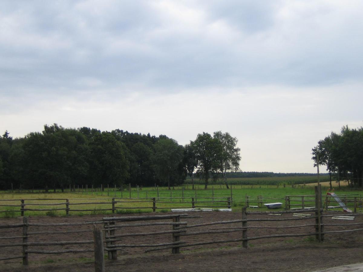 Ferienhof Drewes Ranch Wietzendorf Exteriör bild