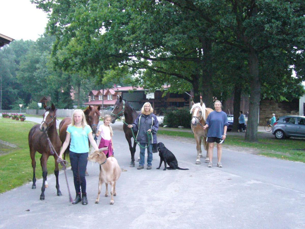 Ferienhof Drewes Ranch Wietzendorf Exteriör bild