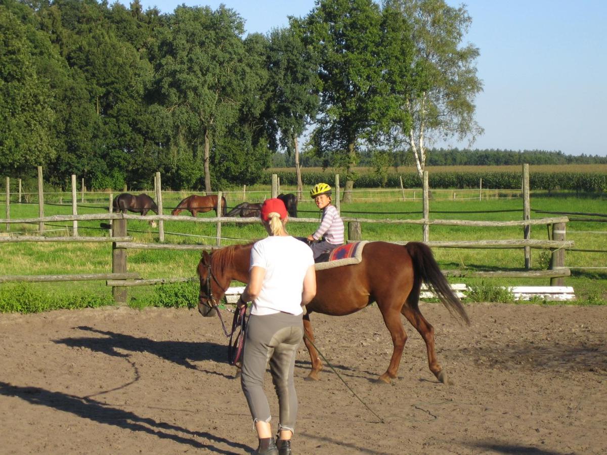 Ferienhof Drewes Ranch Wietzendorf Exteriör bild