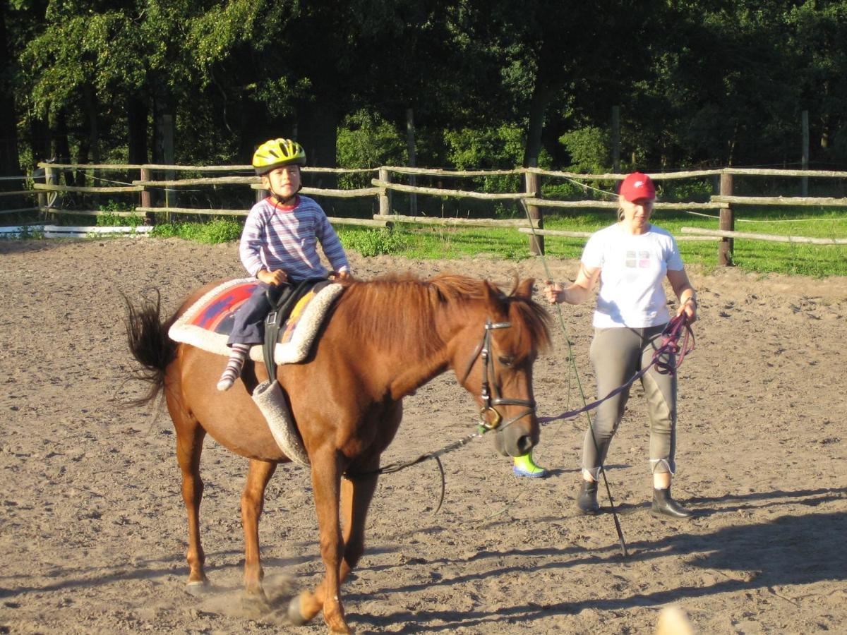 Ferienhof Drewes Ranch Wietzendorf Exteriör bild